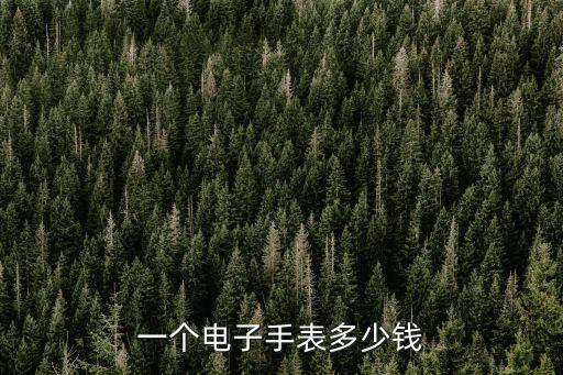 黑科技電子表智能多少錢(qián)，電子手表多少元一個(gè)