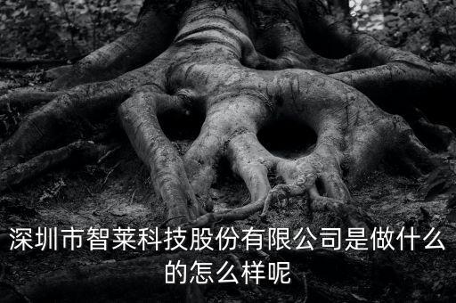 深圳市智萊科技股份有限公司是做什么的怎么樣呢