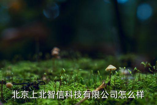 北京上北智信科技有限公司怎么樣