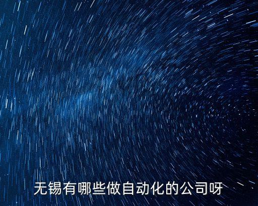 無錫有哪些做自動化的公司呀