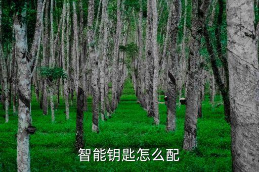 智能鑰匙怎么配