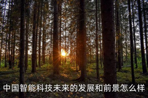 中國(guó)智能科技未來(lái)的發(fā)展和前景怎么樣