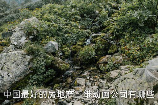 中國(guó)最好的房地產(chǎn)三維動(dòng)畫(huà)公司有哪些