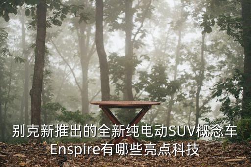 別克新推出的全新純電動(dòng)SUV概念車(chē)Enspire有哪些亮點(diǎn)科技
