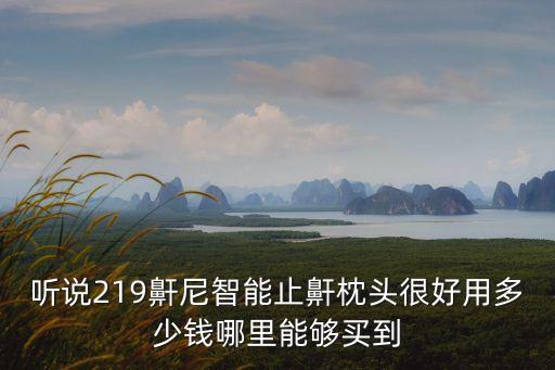 聽(tīng)說(shuō)219鼾尼智能止鼾枕頭很好用多少錢(qián)哪里能夠買(mǎi)到