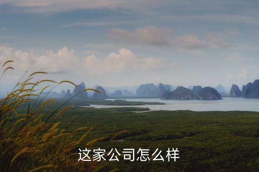 瑞德智能科技怎么樣，誰(shuí)用過(guò)Mobizen遠(yuǎn)程控制軟件和我說(shuō)下怎么樣啊