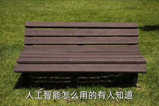 人工智能怎么用的有人知道
