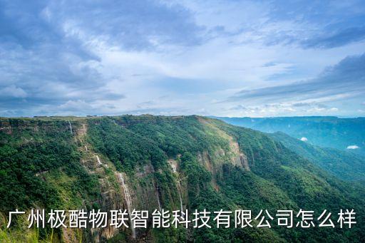 極合智能科技怎么樣，武漢極目智能技術(shù)有限公司誰了解怎么樣