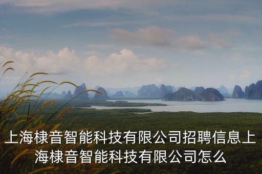 上海棣音智能科技有限公司招聘信息上海棣音智能科技有限公司怎么