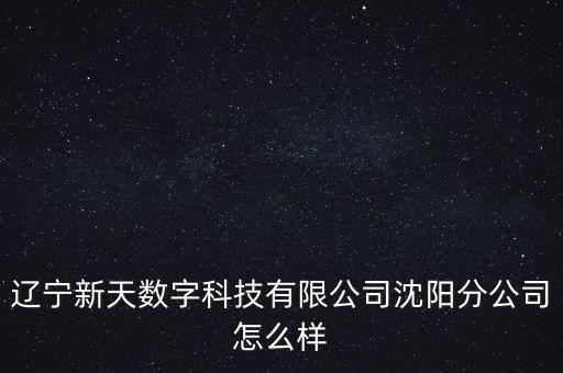 遼寧新天數(shù)字科技有限公司沈陽分公司怎么樣