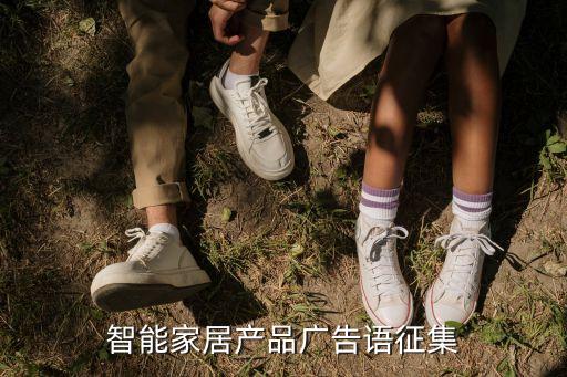 智能家居產(chǎn)品廣告語征集