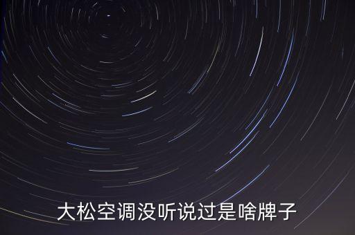 大松空調(diào)沒聽說過是啥牌子