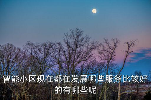 智能小區(qū)現(xiàn)在都在發(fā)展哪些服務(wù)比較好的有哪些呢