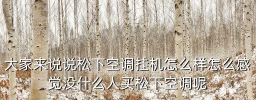 大家來說說松下空調(diào)掛機(jī)怎么樣怎么感覺沒什么人買松下空調(diào)呢