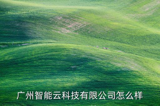 廣州智能云科技有限公司怎么樣