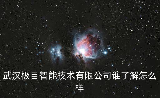 武漢極目智能技術(shù)有限公司誰了解怎么樣