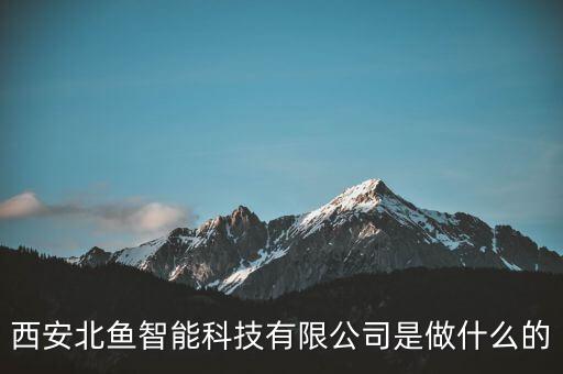 西安北魚智能科技有限公司是做什么的