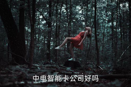 中電智能科技怎么樣，中電智能卡公司好嗎