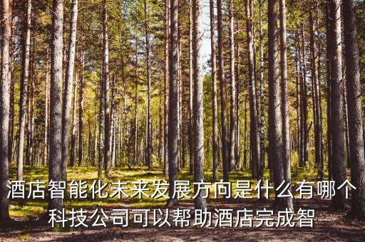 酒店智能化未來發(fā)展方向是什么有哪個科技公司可以幫助酒店完成智