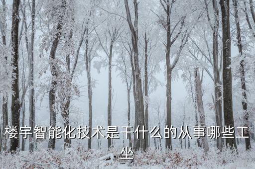 樓宇智能化技術(shù)是干什么的從事哪些工坐