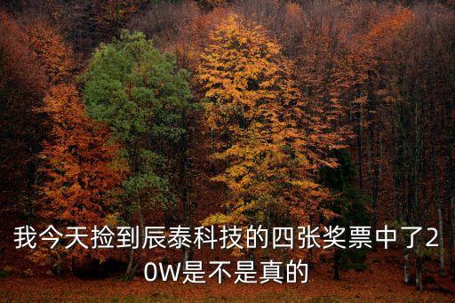 我今天撿到辰泰科技的四張獎(jiǎng)票中了20W是不是真的