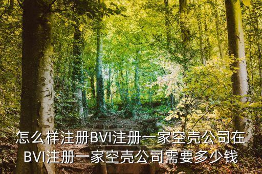 怎么樣注冊(cè)BVI注冊(cè)一家空殼公司在BVI注冊(cè)一家空殼公司需要多少錢