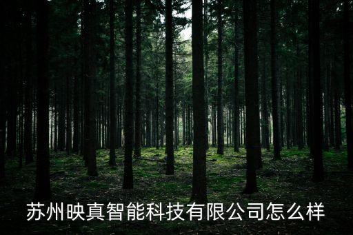 映博智能科技怎么樣，博本智能科技深圳股份有限公司怎么樣