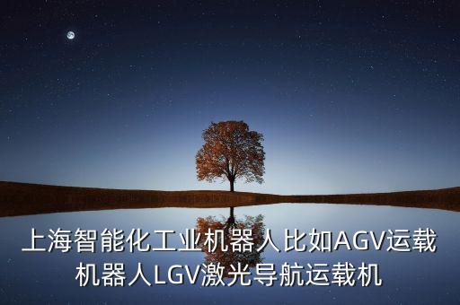 上海智能化工業(yè)機器人比如AGV運載機器人LGV激光導航運載機