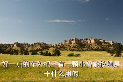 好一點(diǎn)的車外把手有一顆小智能按鈕是干什么用的