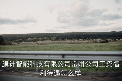 旗計(jì)智能科技有限公司常州公司工資福利待遇怎么樣