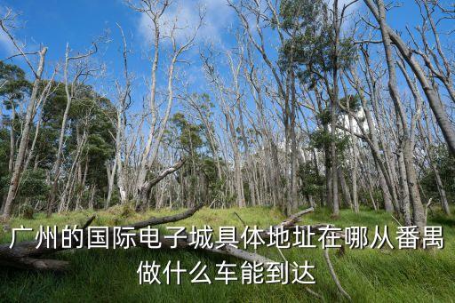 廣州的國際電子城具體地址在哪從番禺做什么車能到達