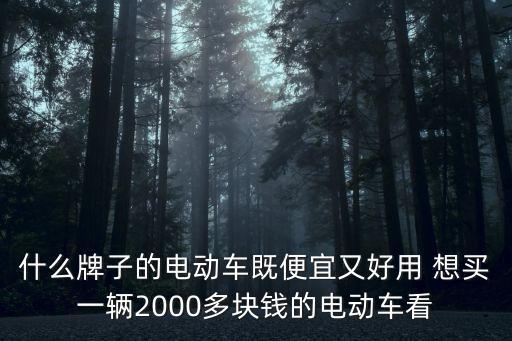 檸檬科技智能電動車怎么樣，北京檸檬科技有限公司怎么樣
