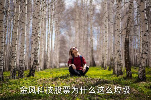 金風(fēng)科技股票為什么這么垃圾