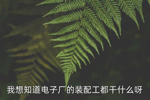 我想知道電子廠的裝配工都干什么呀
