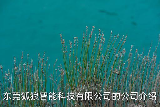 東莞狐狼智能科技有限公司的公司介紹