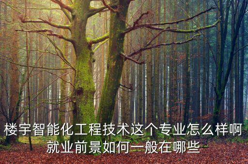 樓宇智能化工程技術(shù)這個專業(yè)怎么樣啊就業(yè)前景如何一般在哪些