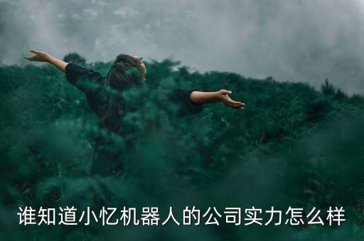 誰(shuí)知道小憶機(jī)器人的公司實(shí)力怎么樣