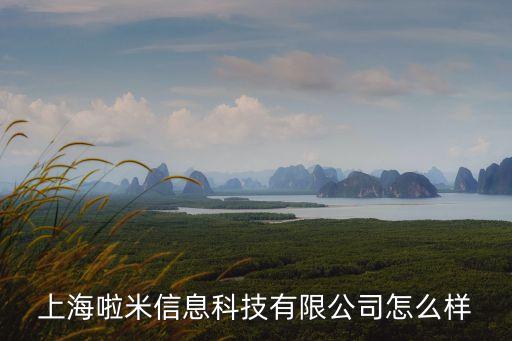 上海啦米信息科技有限公司怎么樣