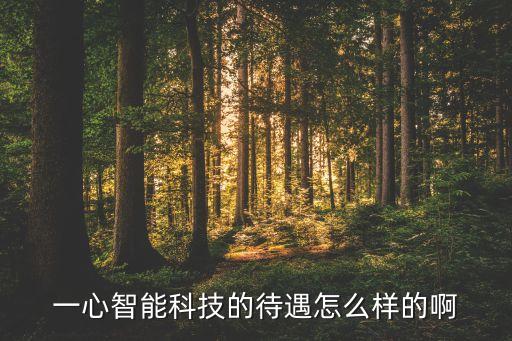 指芯智能科技待遇怎么樣，一心智能科技的待遇怎么樣的啊
