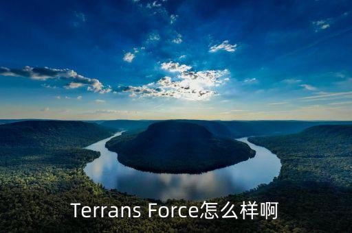 Terrans Force怎么樣啊