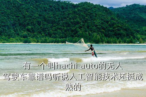 有一個(gè)叫hachi auto的無人駕駛車靠譜嗎聽說人工智能技術(shù)還挺成熟的