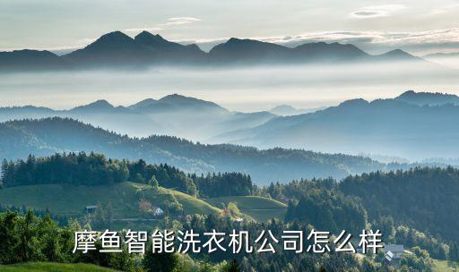 摩紳智能科技怎么樣，摩魚智能洗衣機(jī)公司怎么樣