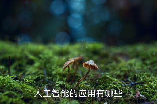 人工智能的應(yīng)用有哪些