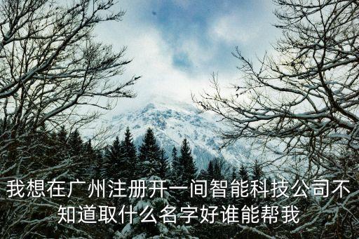 我想在廣州注冊(cè)開一間智能科技公司不知道取什么名字好誰(shuí)能幫我