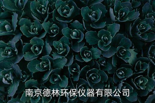 南京德林環(huán)保儀器有限公司