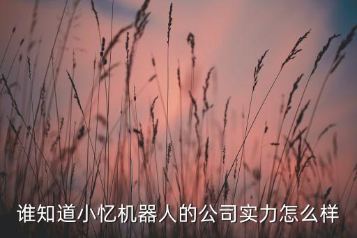 誰知道小憶機(jī)器人的公司實(shí)力怎么樣