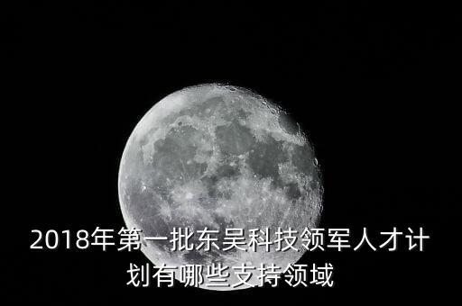 2018年第一批東吳科技領軍人才計劃有哪些支持領域