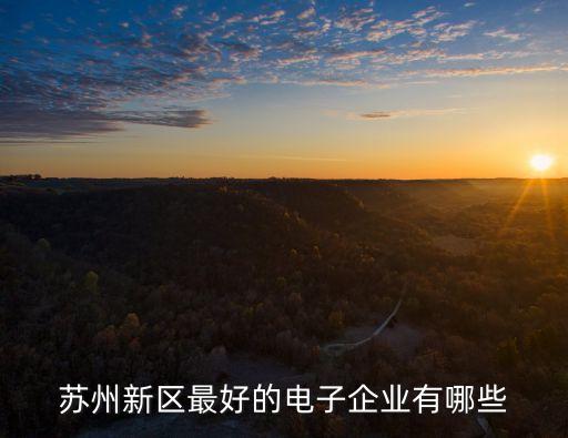 蘇州新區(qū)最好的電子企業(yè)有哪些