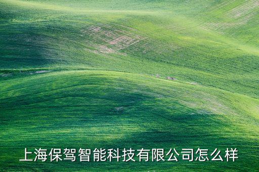 上海保駕智能科技有限公司怎么樣