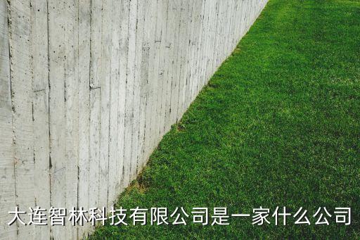 大連智林科技有限公司是一家什么公司